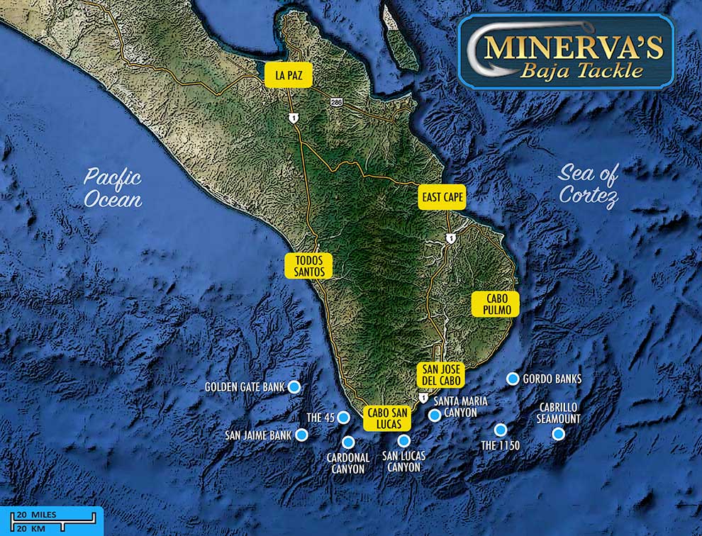 Map of the best fishing locations, hot spots in Cabo San Lucas, Los Cabos