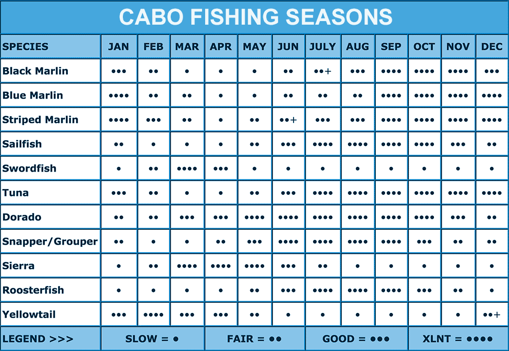Cabo Fishing Seasons Calendar Chart