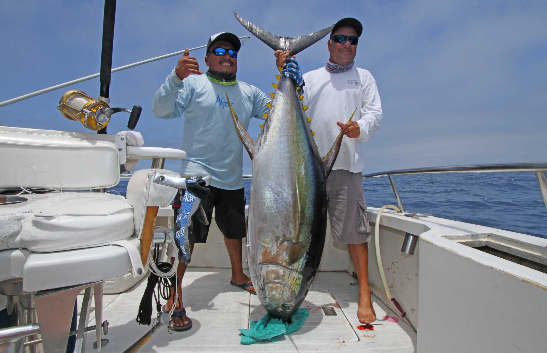Tuna fishing in Cabo San Lucas